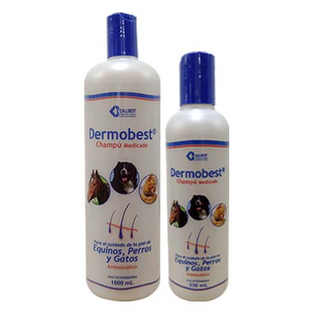 DERMOBEST CHAMPÚ MEDICADO