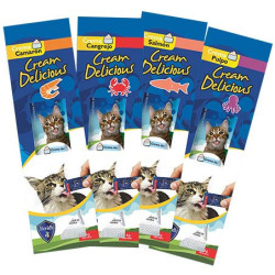 CREAM DELICIOUS GATO