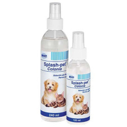 SPLASH PET COLONIA