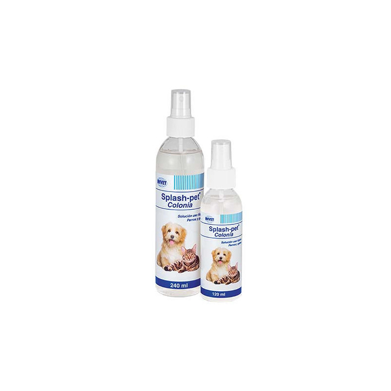 SPLASH PET COLONIA