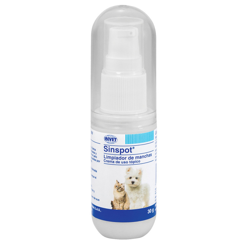 SINSPOT