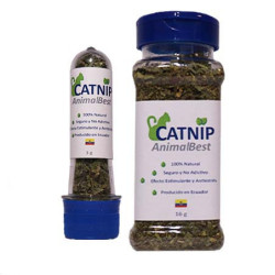 CATNIP