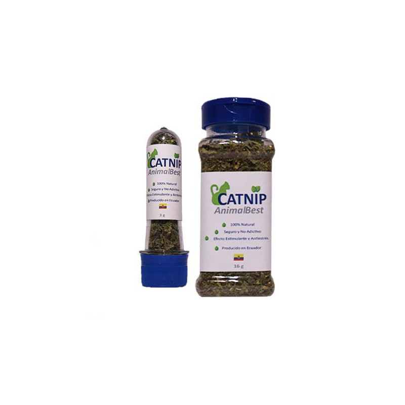CATNIP
