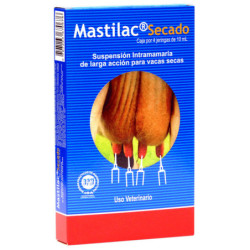 MASTILAC SECADO
