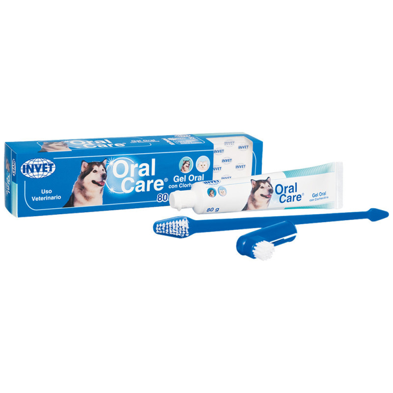 ORAL CARE