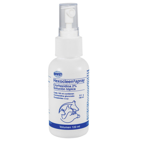 HEXOCLEEN SPRAY