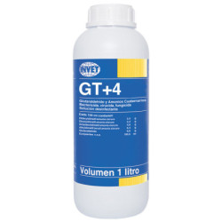 GT+4