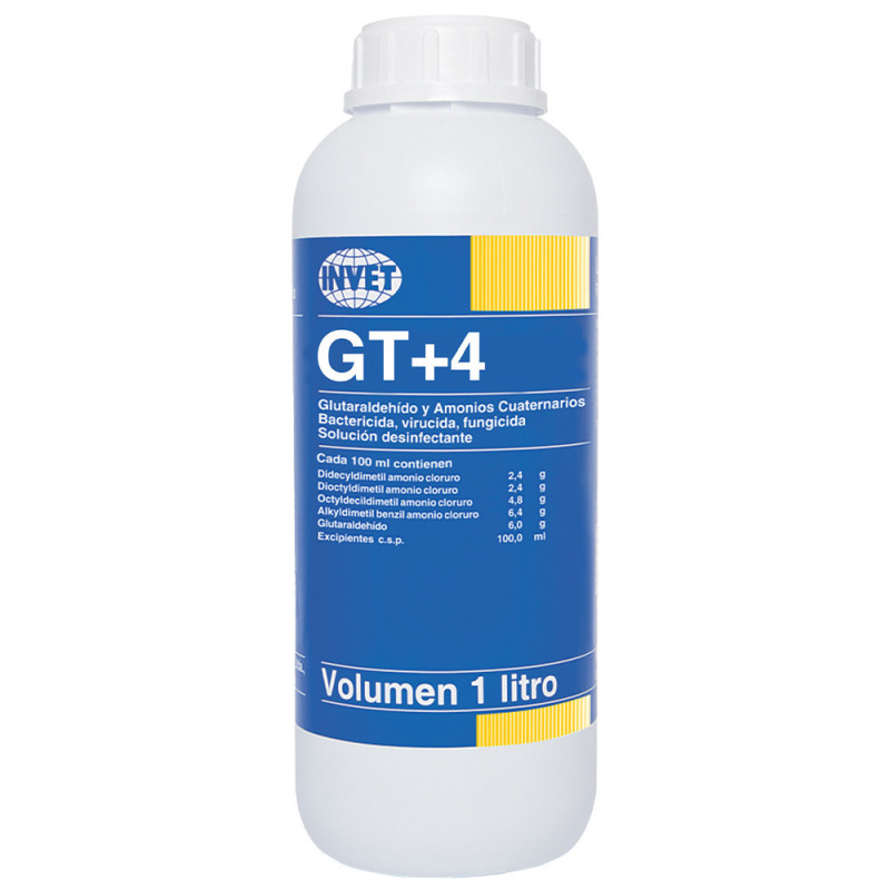 GT+4