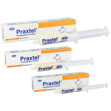 PRAXTEL