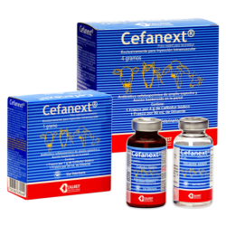 CEFANEXT