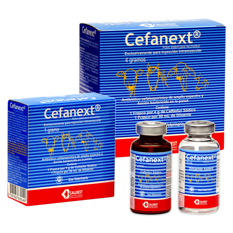 CEFANEXT