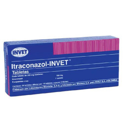 ITRACONAZOL - INVET