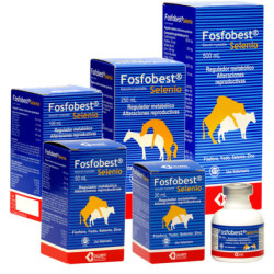 FOSFOBEST SELENIO