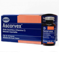 ASCORVEX