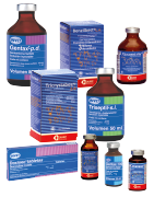 ANTIBIÓTICOS ESPECIALES