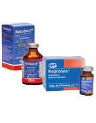 ANTIINFLAMATORIOS